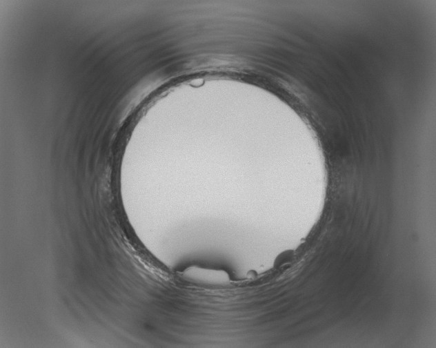 X0000080671066200701121626