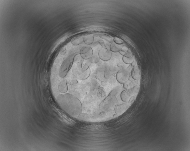 X0000080671067200701121626