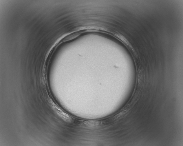 X0000080671068200701121626