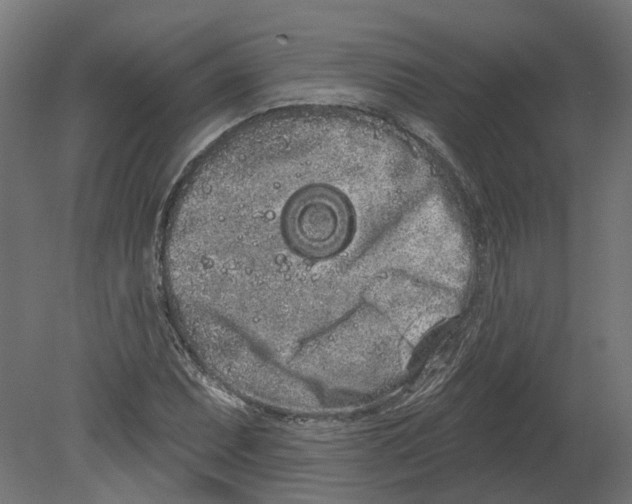 X0000080671071200701121626