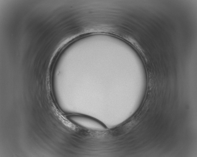 X0000080671072200701121626