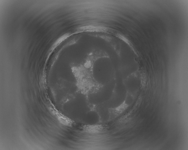 X0000080671074200701121626