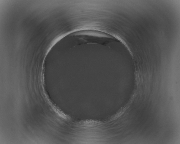 X0000080671077200701121626