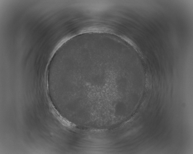 X0000080671078200701121626