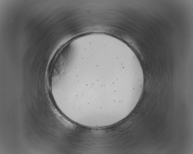 X0000080671080200701121626