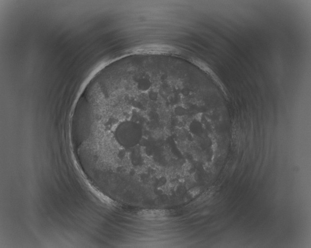 X0000080671083200701121626