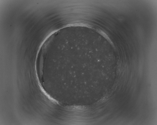 X0000080671084200701121626