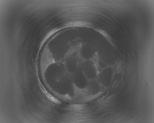 X0000080671086200701121626