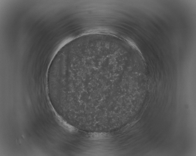 X0000080671087200701121626