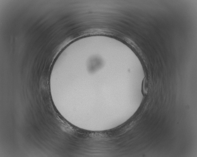 X0000080671089200701121626