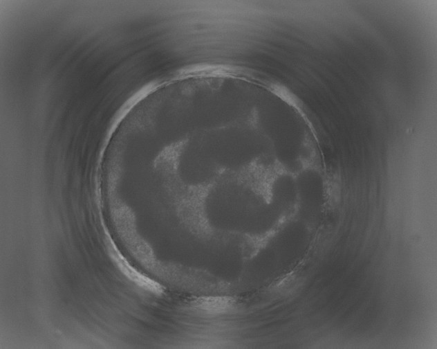 X0000080671090200701121626