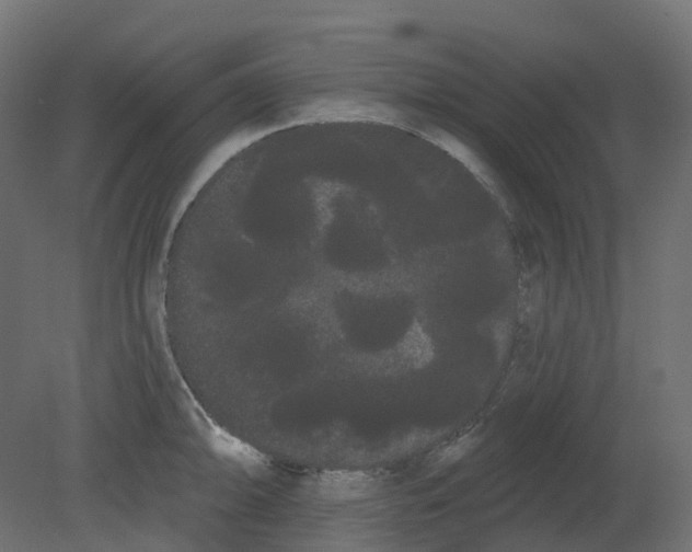 X0000080671094200701121626