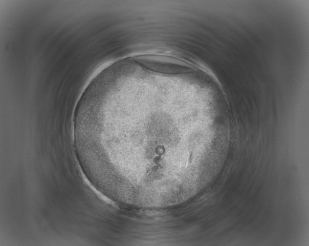 X0000080671095200701121626