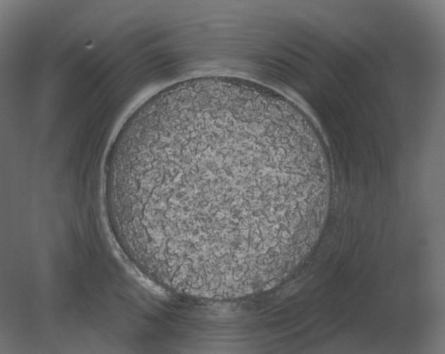 X0000080671096200701121626