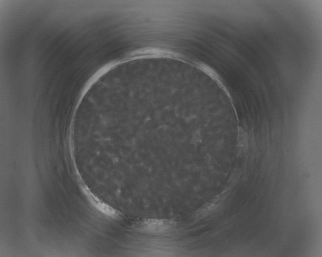 X0000080671098200701121626