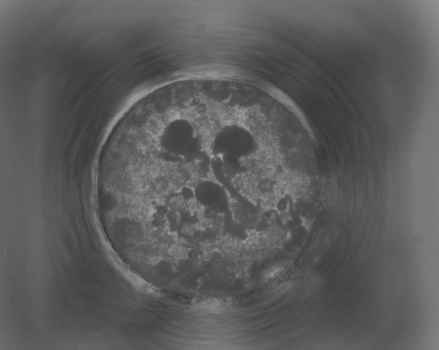 X0000080671099200701121626