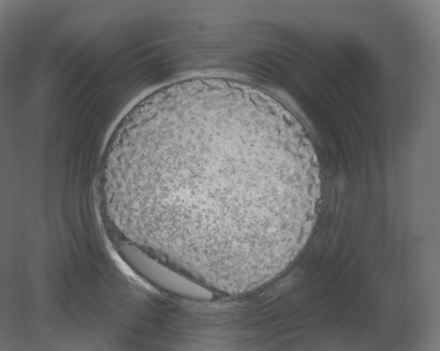 X0000080671100200701121626