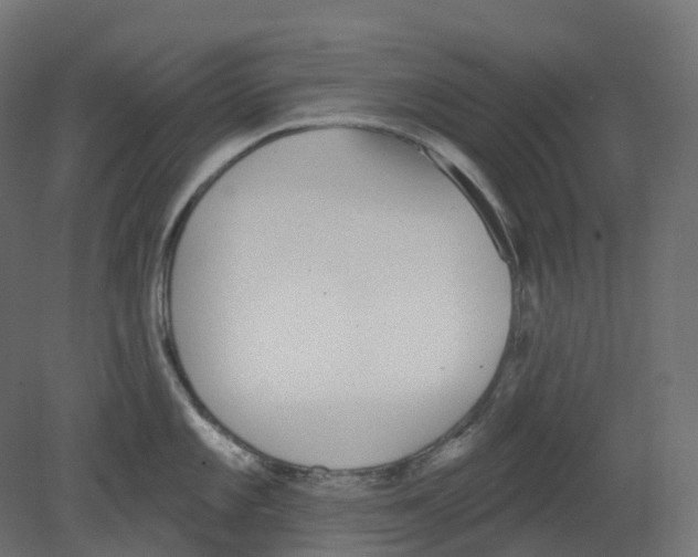 X0000080671101200701121626