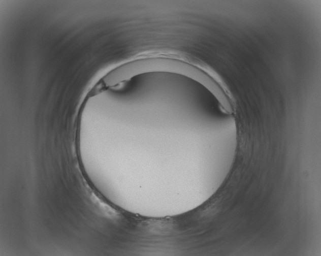 X0000080671102200701121626