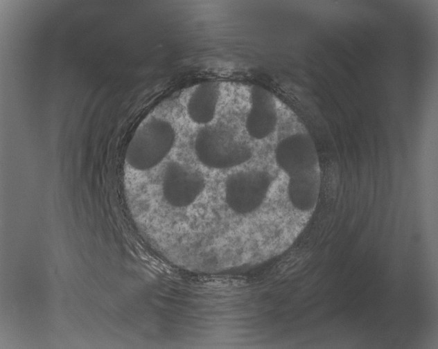 X0000080671105200701121625