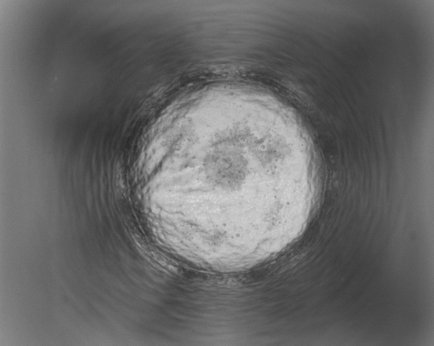 X0000080671106200701121625