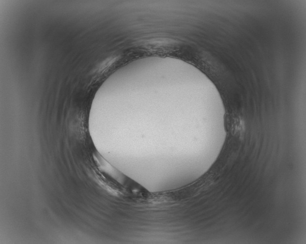 X0000080671108200701121625