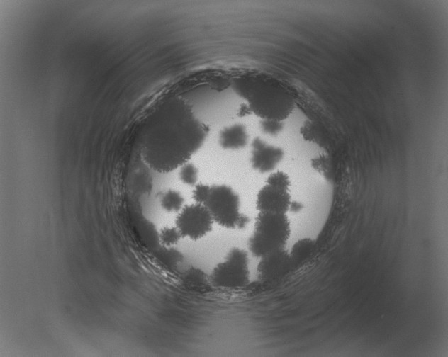 X0000080671110200701121625