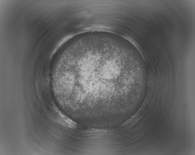 X0000080671115200701121625