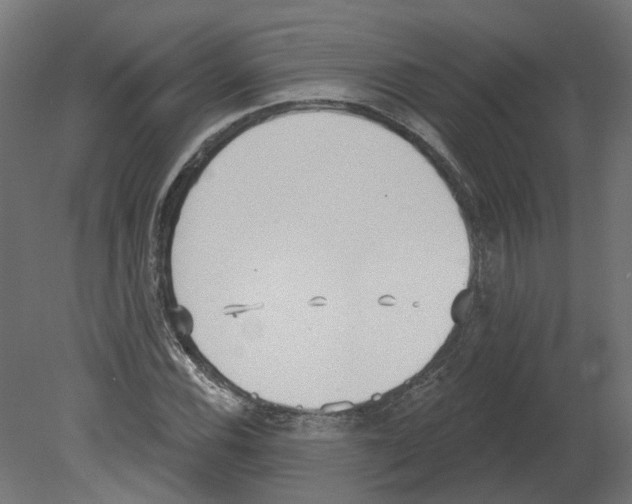 X0000080671116200701121625