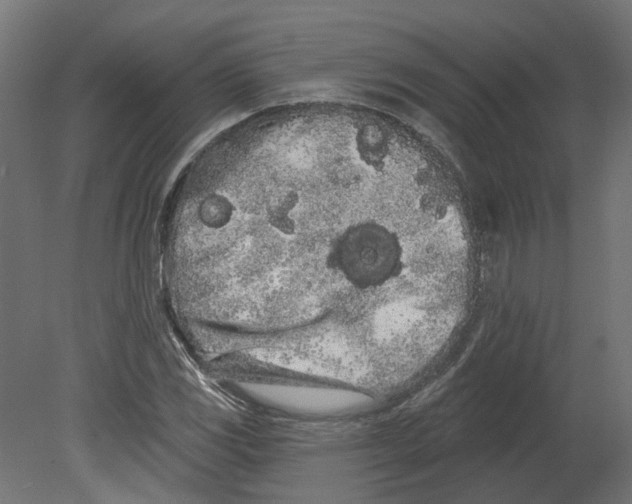 X0000080671117200701121625