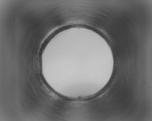 X0000080671118200701121625