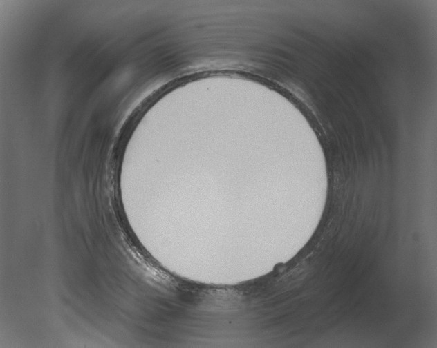 X0000080671119200701121625