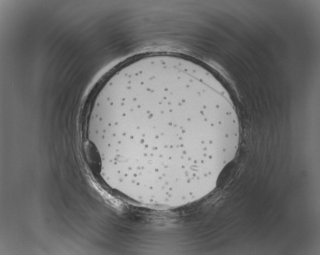 X0000080671120200701121625