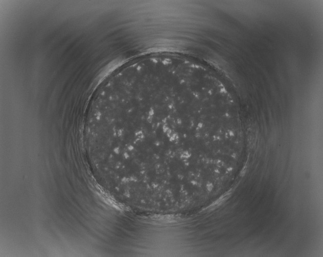 X0000080671121200701121625