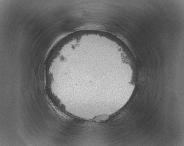 X0000080671123200701121625