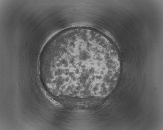 X0000080671124200701121625