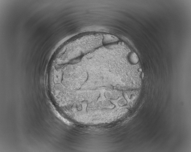 X0000080671125200701121625