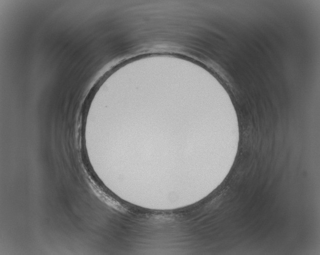 X0000080671126200701121625