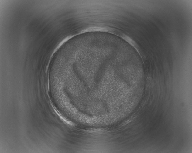 X0000080671127200701121625