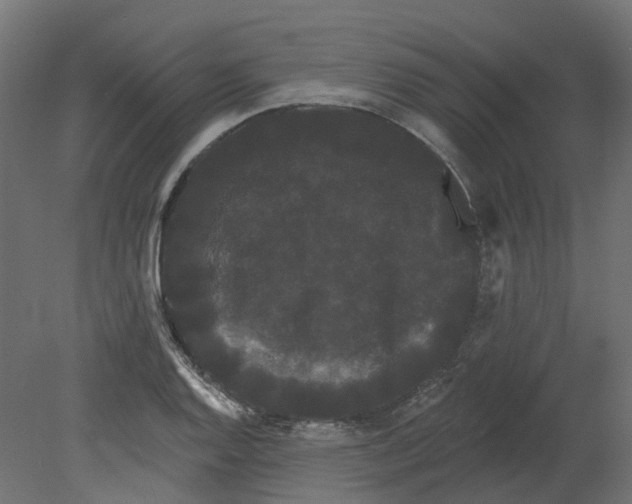 X0000080671128200701121625