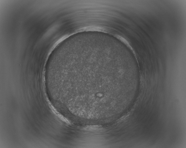 X0000080671133200701121625