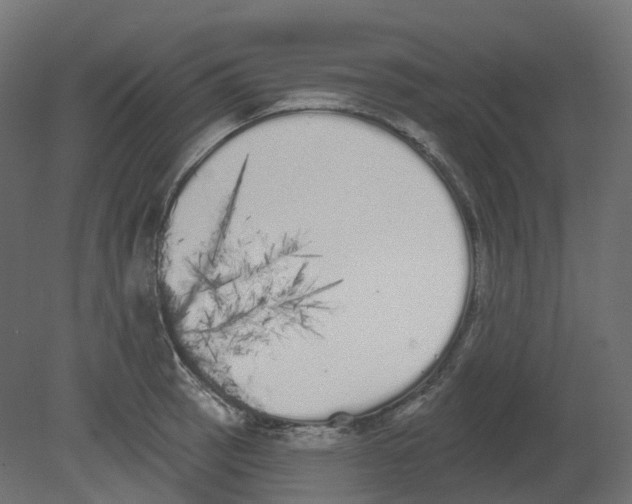 X0000080671137200701121626