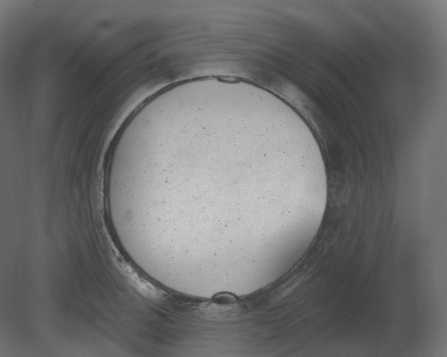 X0000080671140200701121626