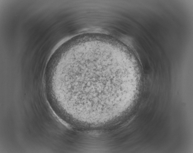 X0000080671141200701121626