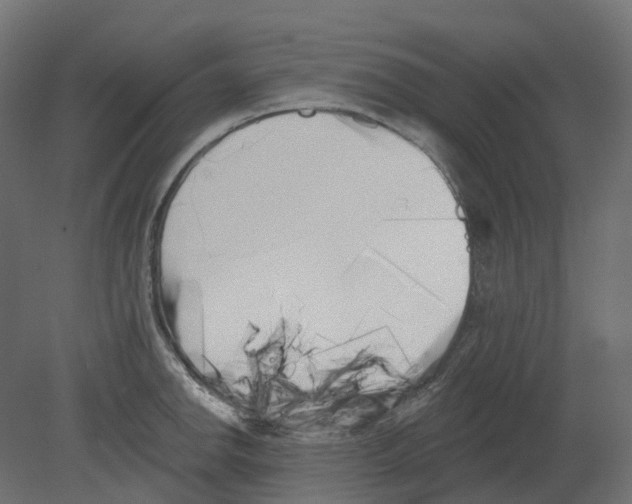 X0000080671142200701121626