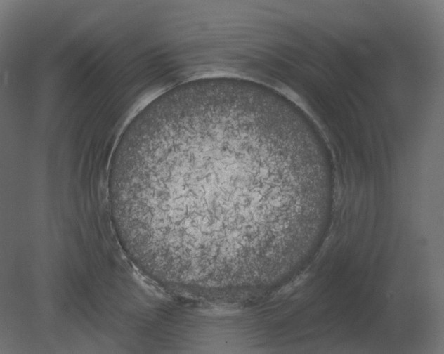 X0000080671145200701121626