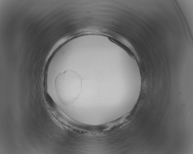 X0000080671146200701121626