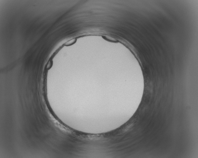 X0000080671147200701121626