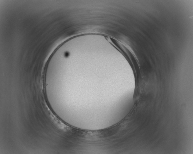 X0000080671148200701121626