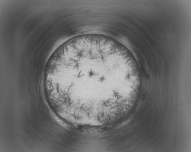 X0000080671149200701121626